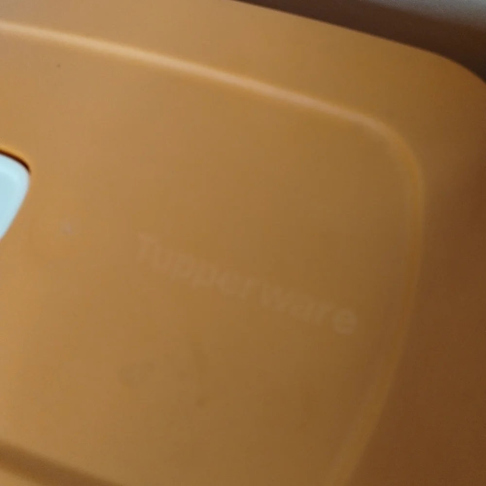 New orange Tupperware oval microwave meal keeper!